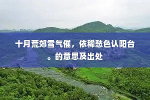十月荒郊雪气催，依稀愁色认阳台。的意思及出处