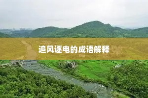 追风逐电的成语解释