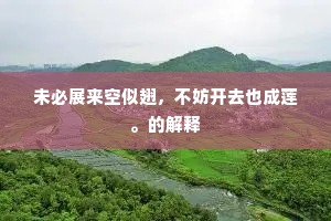 未必展来空似翅，不妨开去也成莲。的解释