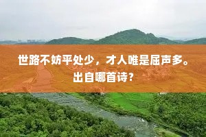 世路不妨平处少，才人唯是屈声多。出自哪首诗？