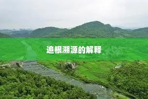 追根溯源的解释