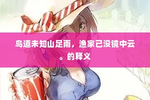 鸟道未知山足雨，渔家已没镜中云。的释义
