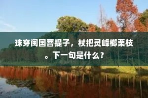 珠穿闽国菩提子，杖把灵峰榔栗枝。下一句是什么？