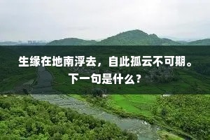 生缘在地南浮去，自此孤云不可期。下一句是什么？