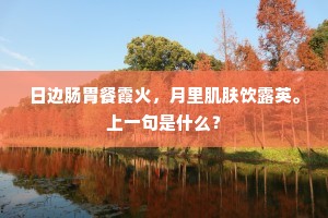 日边肠胃餐霞火，月里肌肤饮露英。上一句是什么？