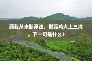 顾我从来断浮浊，拟驱鸡犬上三清。下一句是什么？