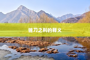 锥刀之利的释义
