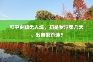 可中更践无人境，知是罗浮第几天。出自哪首诗？
