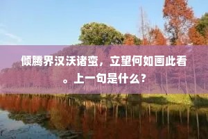 倾腾界汉沃诸蛮，立望何如画此看。上一句是什么？