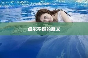 卓尔不群的释义