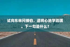 试向东林问禅伯，遣将心地学琉璃。下一句是什么？