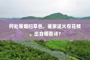 何处寄烟归草色，谁家送火在花枝。出自哪首诗？