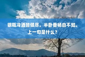 银瓶冷酒皆倾尽，半卧垂杨自不知。上一句是什么？
