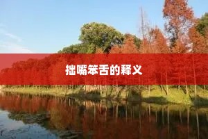 拙嘴笨舌的释义
