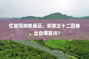 忆昔同游紫阁云，别来三十二回春。出自哪首诗？