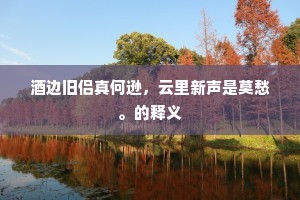 酒边旧侣真何逊，云里新声是莫愁。的释义