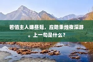 若值主人嫌昼短，应陪秉烛夜深游。上一句是什么？