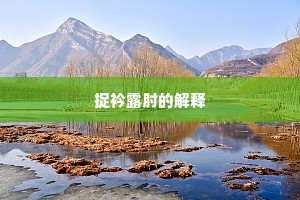 捉衿露肘的解释