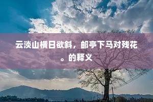 云淡山横日欲斜，邮亭下马对残花。的释义