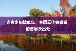 亦有少妇破瓜年，春闺无伴独婵娟。的意思及出处