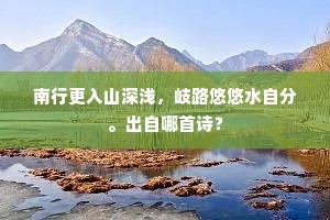 南行更入山深浅，岐路悠悠水自分。出自哪首诗？