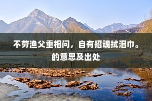 不劳渔父重相问，自有招魂拭泪巾。的意思及出处