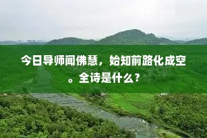 今日导师闻佛慧，始知前路化成空。全诗是什么？