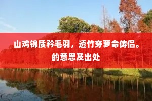 山鸡锦质矜毛羽，透竹穿萝命俦侣。的意思及出处