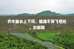 乔木幽谷上下同，雄雌不异飞栖处。的解释