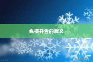 纵横开合的释义