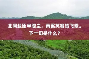 北阙趋臣半隙尘，南梁笑客皆飞霰。下一句是什么？