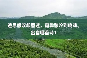 追思感叹却昏迷，霜鬓愁吟到晓鸡。出自哪首诗？
