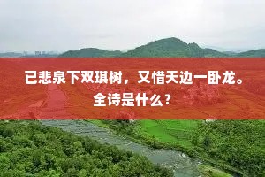 已悲泉下双琪树，又惜天边一卧龙。全诗是什么？