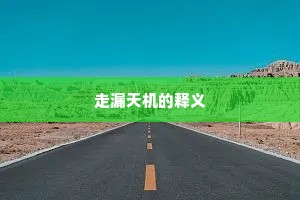 走漏天机的释义