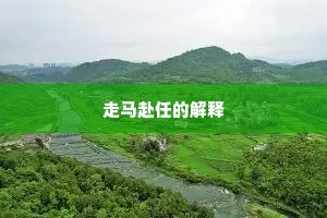 走马赴任的解释