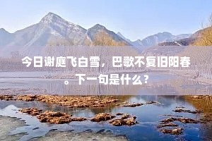 今日谢庭飞白雪，巴歌不复旧阳春。下一句是什么？
