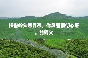 按辔岭头寒复寒，微风细雨彻心肝。的释义