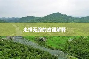 走投无路的成语解释