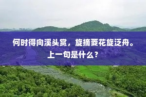 何时得向溪头赏，旋摘菱花旋泛舟。上一句是什么？