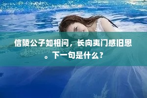 信陵公子如相问，长向夷门感旧恩。下一句是什么？