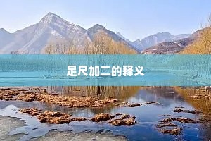 足尺加二的释义