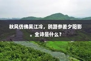 秋风仿佛吴江冷，鸥路参差夕阳影。全诗是什么？