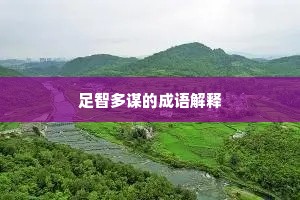 足智多谋的成语解释