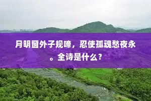 月明窗外子规啼，忍使孤魂愁夜永。全诗是什么？