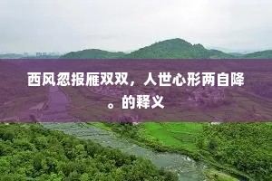 西风忽报雁双双,人世心形两自降。的释义 西风忽报雁双双,人世心形两自降。的释义