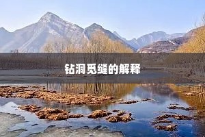 钻洞觅缝的解释