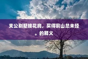 支公别墅接花扃，买得前山总未经。的释义
