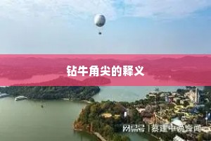 钻牛角尖的释义