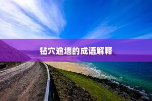 钻穴逾墙的成语解释