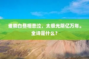 谁能白昼相悲泣，太极光阴亿万年。全诗是什么？